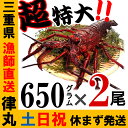 【12月31日まで営業】御歳暮に、三重県産活伊勢海老【600~700g×2尾 1.3kg】　漁師直送