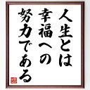 【受注後直筆】名言「人生とは幸福への努力である」額付き書道色紙 ( 贈り物 プレゼント ギフト 壁掛け 置物 座右の銘 格言 諺 人気 言葉 偉~