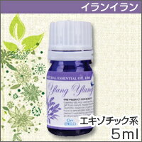 【シエル エトゥベラ エッセンシャルオイル イランイラン 5ml】【RCPmara1207】