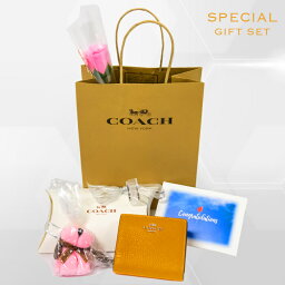 <strong>コーチ</strong> ギフトセット COACH 財布 ミニ財布 そのまま渡せる コンパクト ブランド品ギフトセット 選べるメッセージカード メッセージカード　カードケース アウトレット | レディース 代引手数料無料