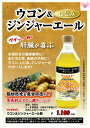 サンビネガー/飲む健康酢/ウコン&ジンジャーエール酢/500...