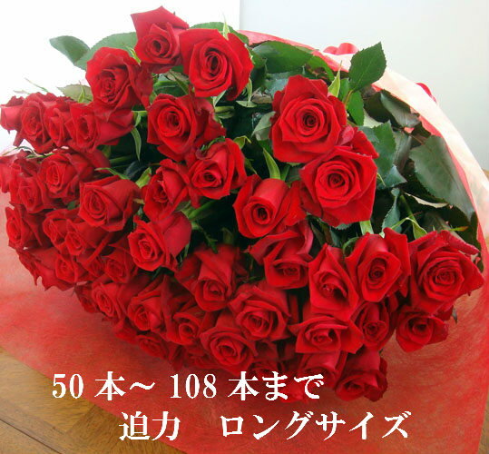 バラ 花束 50本！100本 還暦祝 60本 赤バラにも調整OKお祝・誕生日 歓送迎会 薔薇 ロングサイズ50cm プロポーズ 母の日 プレゼント サプライズ 入学