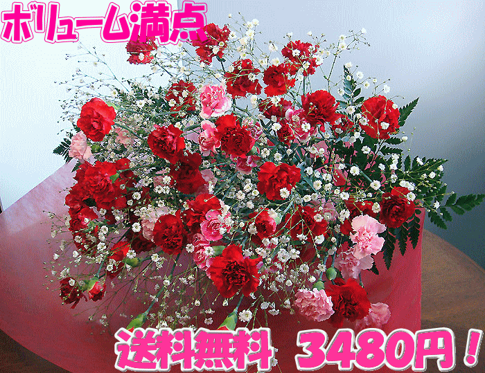 母の日　ボリューム満点カーネーション花束送料無料母の日ギフト人気の花束