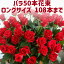 バラ50本花束 お祝 誕生日 歓送迎会 結婚式 還暦祝 60本 プロポーズ108本 100本 薔薇 サプライズ 深紅 赤いばら プレゼント 生花 ロングサイズ50cm