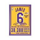 ショッピングカーズ レブロン ジェームズ ロサンゼルス・レイカーズ ウィンクラフト NBA オール-タイム スコアリング Record 2.5'' x 3.5'' メタル Fridge マグネット