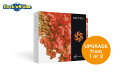 iZotope(アイゾトープ) Nectar 3 アップグレード版【対象:Nectar 1 or 2】【※シリアルPDFメール納品】【DTM】【プラグインエフェクト】【マスタリング】
