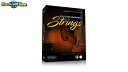 Sample Modeling Solo & Ensemble Strings【※シリアルメール納品】【DTM】【ストリングス音源】