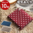 【ポイント10倍 送料無料】電気あんか あんか かわいい 電...