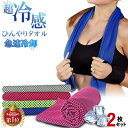 高温 真夏 猛暑 熱中症 暑さ対策 グッズ 屋外 クールタオル 2枚セット 送料無料 ひんやりタオル 冷却タオル ネッククーラー アウトドア スポーツ 首 子供 熱中症 towel 節電 夏 冷たいタオル 冷える タオル クールスカーフ スポーツ レジャー すずしい 冷感タオル