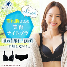 公式 ROSABLU ロザブルー <strong>ナイトブラ</strong> 育乳 垂れ 1枚 ショーツ セット 脇高 美胸 バストアップ バストケア 盛れる カップ一体 ノンワイヤー 大きいサイズ 育乳ブラ 谷間 補正 下着 横流れ 背肉 一体