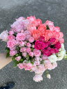 Casual Bouquet 【PINKY】 訳アリ 産地直送 新鮮 自宅用 珍しい 誕生日 記念日 プレゼント 自分へのご褒美 インテリア 写真撮影 規格外 ピンク系 お買い得 30本 3000円 夏季チルド便35本お得