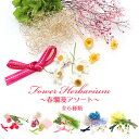 【クリックポスト対応】春爛漫アソート(花材のみ)