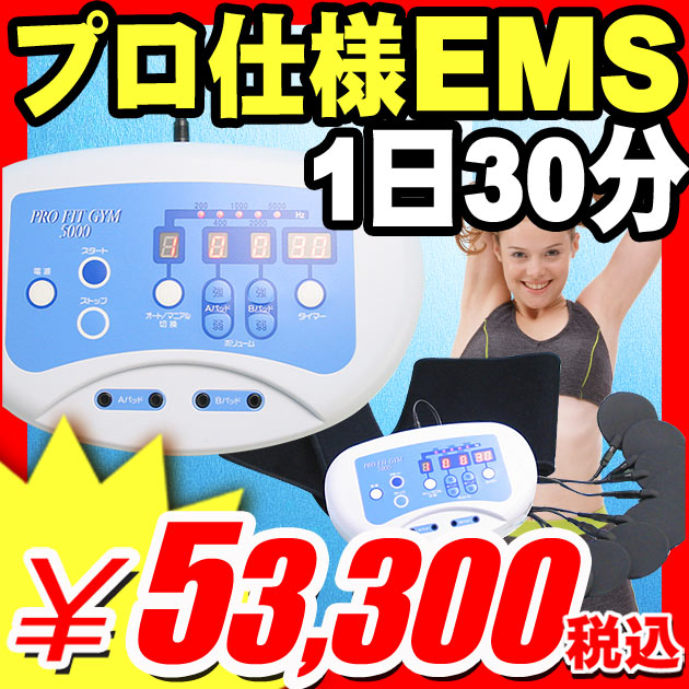 【プロ仕様】プロフィットジム5000 中周波 EMS 198000円の商品（プロ仕様EMSマシーン）(217)【プレミアム PB】【エントリーで最大P17倍】 【レビュー書いて割引あり】低周波より効く中周波！EMSマシーン トレーニングマシーン フィットネス器具 EMS 機器