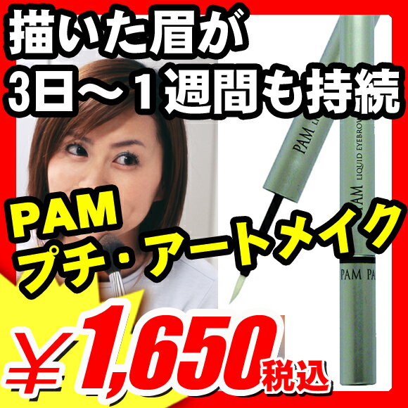 描いた眉が3日〜1週間も持続♪『PAM プチ・アートメイク』安心・安全・無痛！（アートメイクするには不安な方のアイブロウペン！温泉・旅行、寝起き・不意の来客・朝のゴミ出し、入院時、水泳などのスポーツ、汗でとれる方に朗報！）(A578)