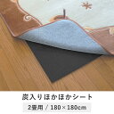炭入りほかほかシートDX 2畳用 tsk | 二畳 インテリア おしゃれ マット