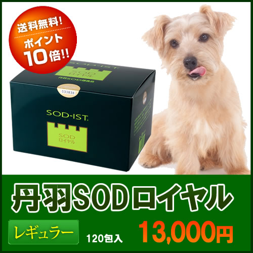 ペットの健康に丹羽SODロイヤルレギュラータイプ120包入(丹羽SOD様食品)動物病院でも使用【送料無料】ポイント10倍♪さらにルイボスティー2袋(1袋2.5g×2)おまけの他に♪レビューを書いて選べるおまけまであるペットの健康管理にどうぞ　丹羽SODならSODロイヤルの販売会社丹羽メディカル研究所出身の店長が運営するサイトにおまかせください【土佐清水病院　院長　丹羽靭負博士開発商品】