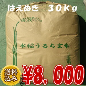 はえぬき玄米３０ｋｇ