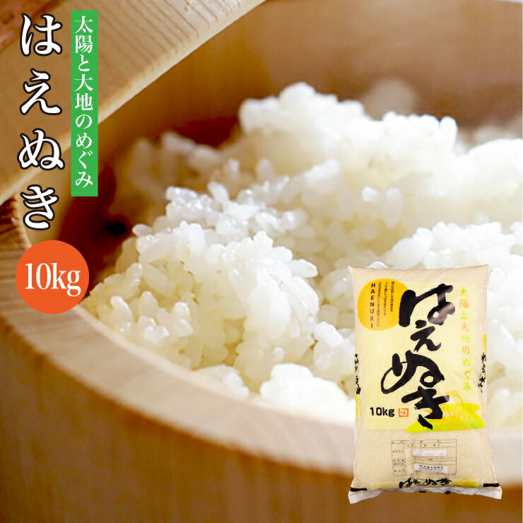 おまけ付き！新米 令和2年産 送料無料 山形県産 はえぬき 10kg 米