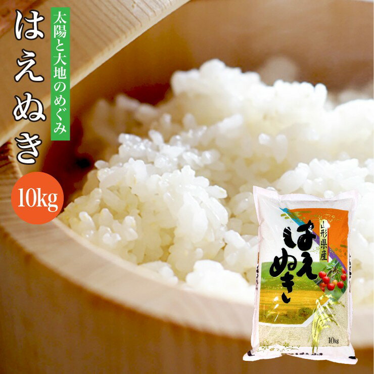 【おまけ付き！】新米 無洗米 令和3年産 送料無料 山形県産 はえぬき 10kg 米