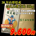 30年山形県産はえぬき玄米30kg