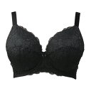 ブラジャー 大きいサイズ お試しブラVer2.5黒 フルカップ 【サイズ展開】Fカップ Gカップ Hカップ Iカップ Jカップ F65 F70 F75 F80 F85 F90 G65 G70 G75 G80 G85 G90 H65 H70 H75 H80 H85 H90 I65 I70 I75 I80 I85 I90 J65 J70 J75 J80 J85 J90