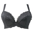 ブラジャー 大きいサイズ お試しブラVer2.5黒 3/4カップ・谷間(SP-246)