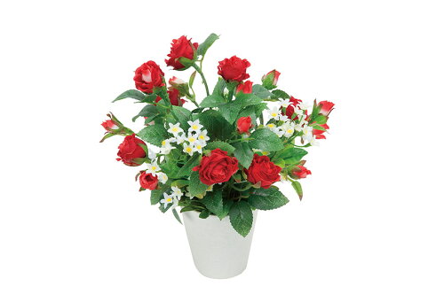 https://thumbnail.image.rakuten.co.jp/@0_mall/rushplaza/cabinet/hikarinorakuen/04228936/imgrc0063838984.jpg?_ex=500x500