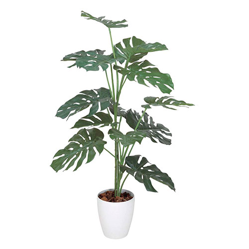 アートグリーン 人工観葉植物 光触媒 光の楽園 モンステラ1.2