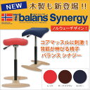 バランスシナジー サカモトハウス バランスチェア