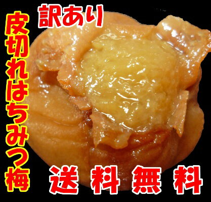 皮切れはちみつ梅　450g　（のし・包装不可）【送料無料】【初めてご注文の方限定】【訳あり】【紀州南高梅】食べきりお試しサイズ450g