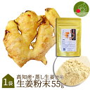 【あす楽】 生姜粉末 国産 55g 高知県産 送料無料 生姜パウダー 無添加 無着色 ジッパ