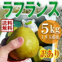 ラフランス 訳あり 山形県産 5kg 約...