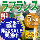 ラフランス 訳あり 山形県産 5kg 約16〜20玉 お徳用...