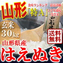 山形県産 はえぬき 玄米 30kg 29年産 特A米 一等米...