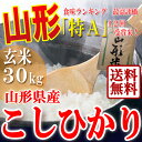 【送料無料】山形県産 こしひかり 玄米 30kg 28年産のお中元 特A米 一等米 ギフト 産地直送 のし プレゼント おいしい 通販 ブランド米 東北のお中元