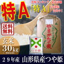 【お中元早割クーポン配布中】【送料無料】山形県産 つや姫 玄米 30kg【28年産】【特別栽培米】【減農薬 減化学肥料】一等米 ギフト 特A米 お中元 ギフト 産地直送 のし プレゼント おにぎらず 通販 ブランド米 東北