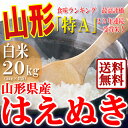 【送料無料】山形県産 はえぬき 白米 20kg(5kg×4袋) 28年産 お中元 即日発送中 特A米 一等米 精米 ギフト 産地直送 のし プレゼント おにぎらず 代表米 お土産 通販 ブランド米 東北