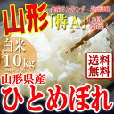 【父の日早割祭 全品ポイント2倍】【送料無料】山形