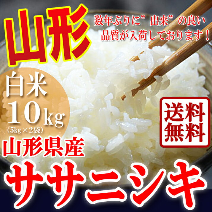 【送料無料】23年産　山形県産ササニシキ　10kg(5kg×2袋)味わい深いささにしき！山形産のおこめ！お米専門店がオススメ！