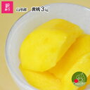 山形県産 黄桃 3kg(13〜16玉前後)ちょっと訳ありだから お買い得 硬い桃 固い桃 や 柔らか...