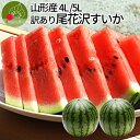 【2020年7月下旬発送・先行予約】 尾花沢 スイカ 訳あり 2玉セット 4L 5L(約9kg前後)お徳用 山形県産 ワケあり ワケ待ち 産地直送 キャンプに 海水浴に スイカ割りに ブランド 同梱不可 日時指定不可 2020年 7月下旬発送 送料無料 夏 暑さ対策 食べ物