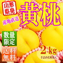 【週末限定 全品ポイント2倍】【2017年 9月上旬発送】【送料無料】山形県産 黄桃 2kg(7?12玉前後)ギフト 化粧箱入り 黄桃 山形県から産地直送 黄桃 黄金桃 ご年始