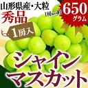 【2017年 9月中旬発送】【送料無料】 山形県産 秀品 大粒 シャインマスカット 1房(約650g前後) 産地直送 山形県から産地直送 種無し 大粒 【同梱不可】【熨斗OK】敬老の日 ギフト