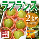 【2018年11月発送 先行予約】ラフランス 秀品 2kg ...