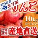 山形県産 訳あり 早生 ふじりんご 10kg産地直送りんご お徳用りんご サンふじ ジャムにもOKなりんご 焼きりんごにもOK! 家庭用りんご あす楽 2017年 10月上旬発送 日時指定不可 送料無料(四国 九州 沖縄を除く)