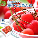【好評発送中!】 父の日 ギフト さくらんぼ 佐藤錦 贈答品...
