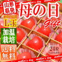 母の日 ギフト さくらんぼ 佐藤錦 特秀 L玉 24粒入 【送料無料】化粧箱入 産地直送 手詰め メッセージカード付き 思い出に残る 母の日ギフト【同梱不可】