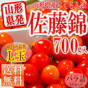 【お買い物マラソン 最大ポイント 25倍】【201