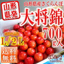 【お買い物マラソン 最大ポイント 25倍】【201