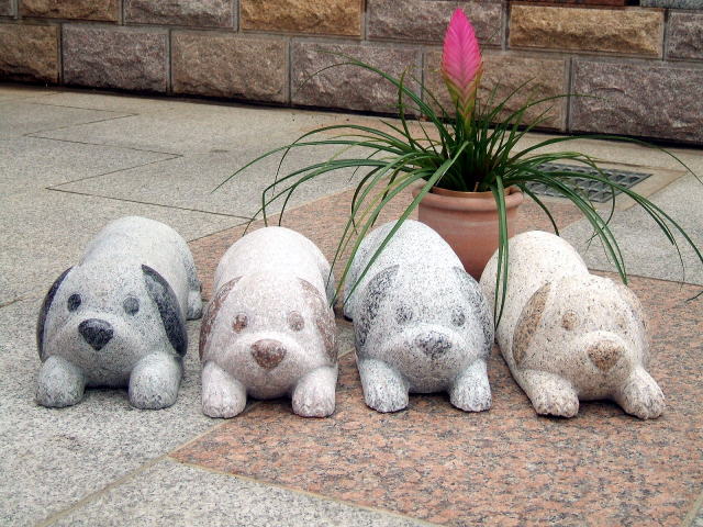 **@12{1g̉ił킢 fUCi45cmE2{..